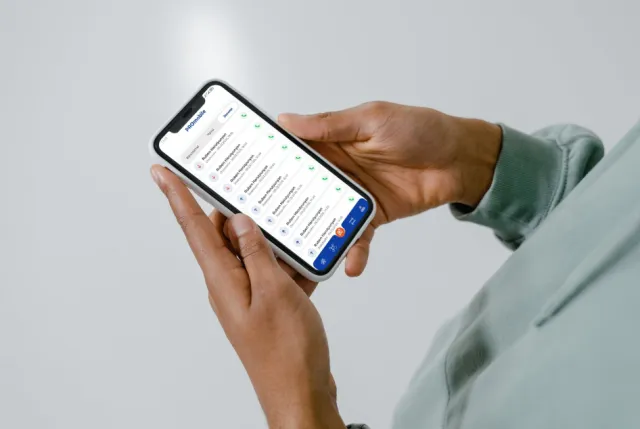 ProMobile: one app for an entire retail chain